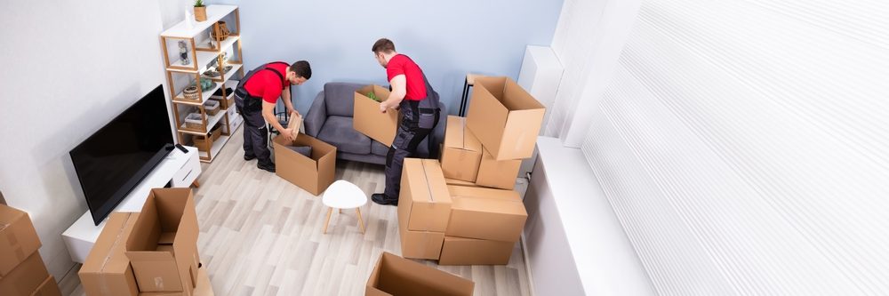 Discovering Excellence in Moving Services