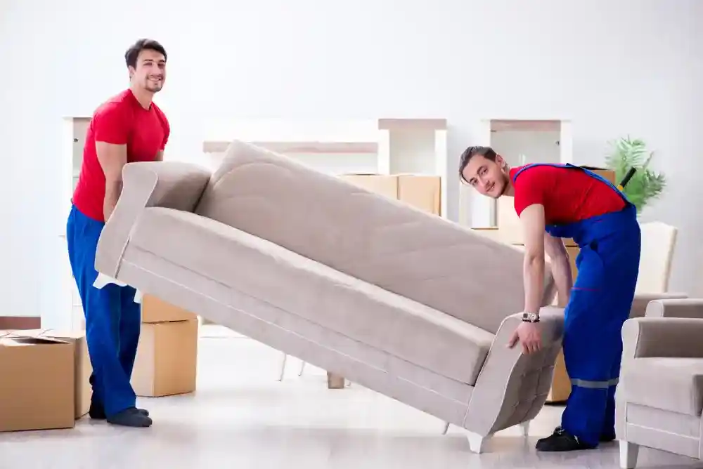 Meticulous Packing for Office Equipment and Furniture